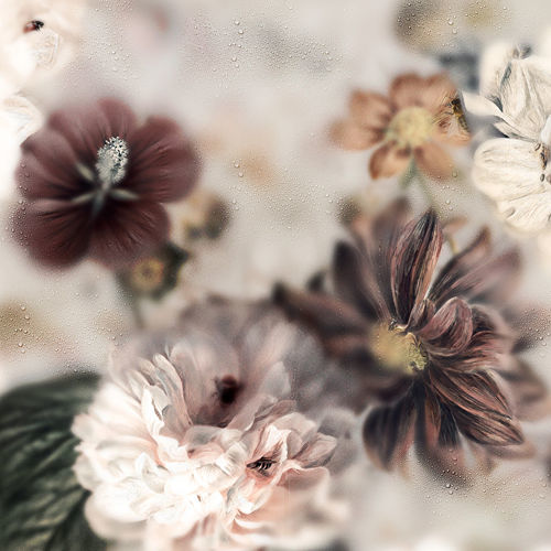 Papel de parede contemporâneo - BLOSSOM LIGHT - Devon&Devon - floral / efeito de tecido / multicores