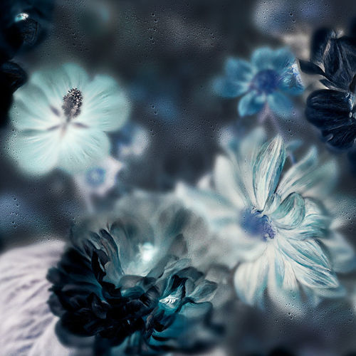 Papel de parede contemporâneo - BLOSSOM INVERTED - Devon&Devon - floral / efeito de tecido / azul