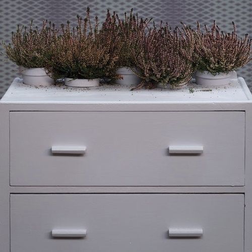 Tinta decorativa - CALLUNA - Farrow & Ball - de acabamento / para área externa / para banheiro