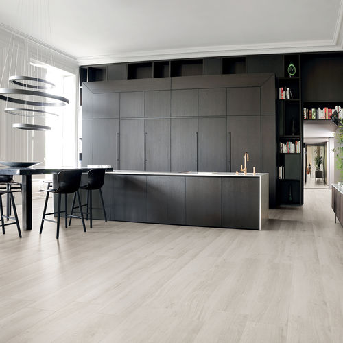 Placas de revestimento em grés porcelanato - NATURAL - Ceramiche Ascot SpA - polida / fosca / para ambiente interno