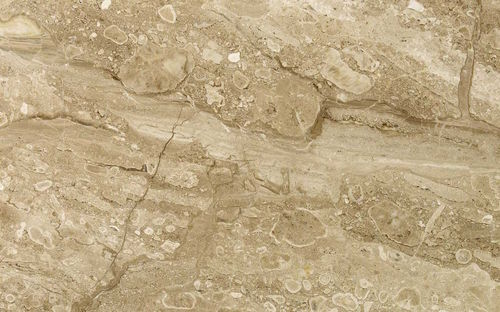 Lajota em pedra natural - BRECCIA SARDA - Margraf SpA