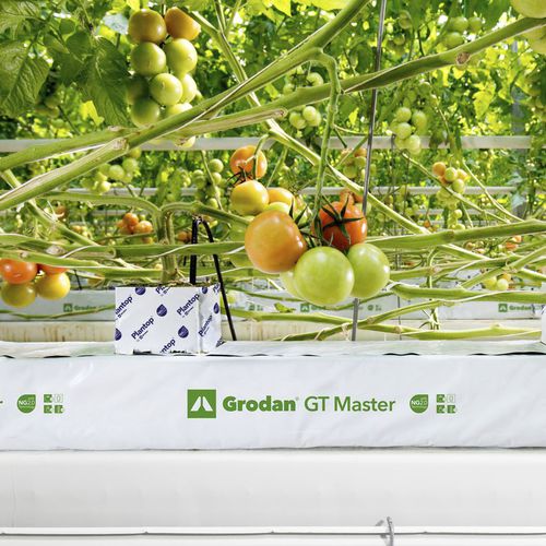 Saco de plantio - GT MASTER - GRODAN