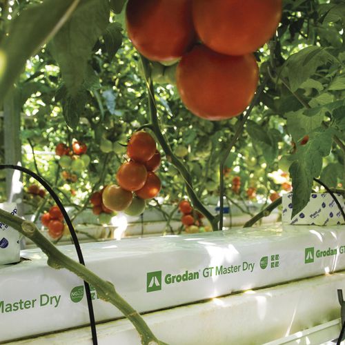 Saco de plantio - MASTER DRY - GRODAN
