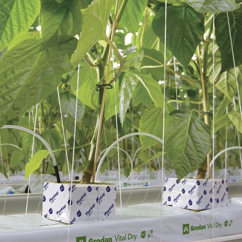 Saco de plantio - VITAL DRY - GRODAN
