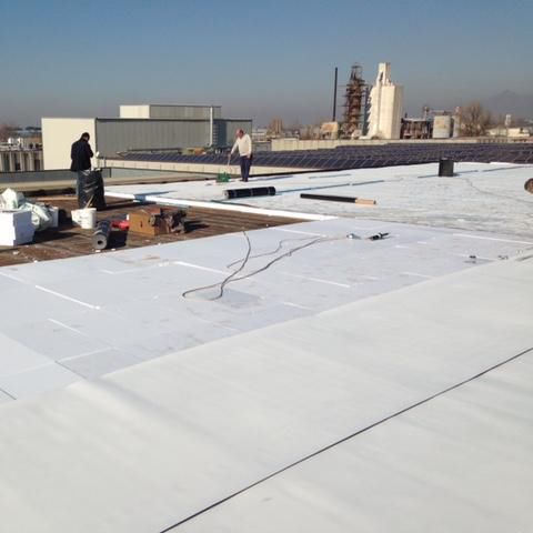 Manta impermeabilizante para telhado - MAPEPLAN® TM BROOF (T1) - Polyglass Spa - em rolo / flexível / sintética