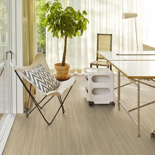Revestimento de piso vinílico - STANDARD PLUS - Tarkett PROFESSIONAL - para ambiente interno / para escritório / industrial
