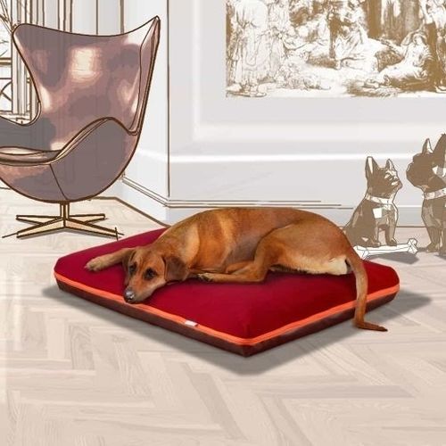 Almofada para animais domésticos (cães e gatos) - PAULINE - pet.interiors - quadrada / retangular / de cor lisa