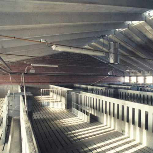 Hangar pré-fabricado - PIGGERIES - Paver