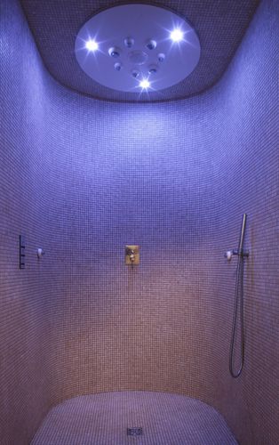 Chuveiro multifuncional - SIBIRIAN NIGHT SED4 - WDT - Werner Dosiertechnik - com hidromassagem / da linha comercial / para spa
