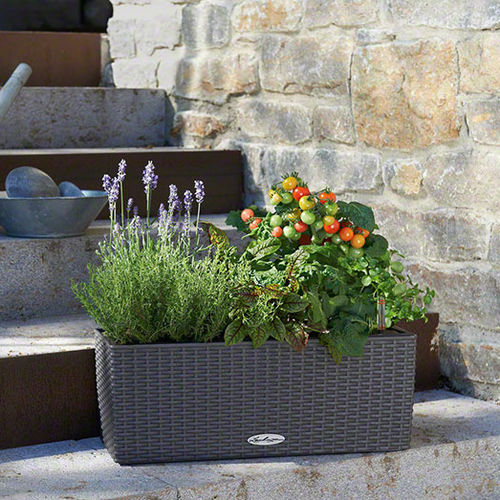 Floreira em material plástico - BALCONERA COTTAGE  - Lechuza - retangular / contemporânea / para ambiente externo