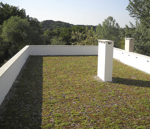 Telhado verde extensivo - COMPLETA - poliflor - para telhado plano / à prova de água