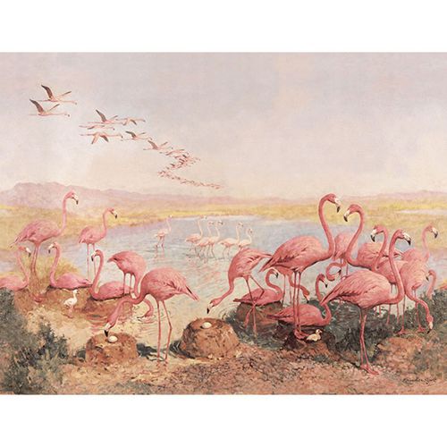 Papel de parede clássico - FLAMINGEOES - Neodko - em tecido não tecido / vinílico / com natureza