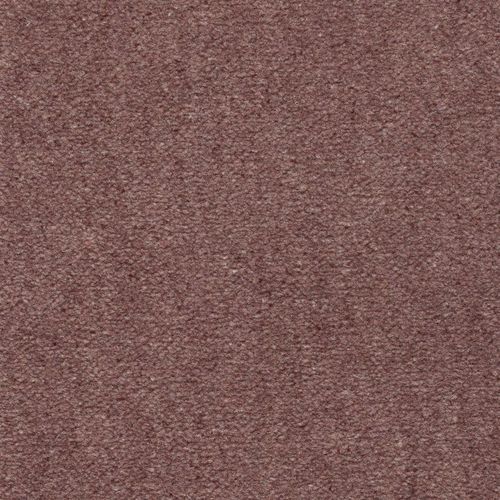 Carpete tecido - DARTMOOR PLAIN - Axminster carpets - de lã / para uso doméstico / em rolo