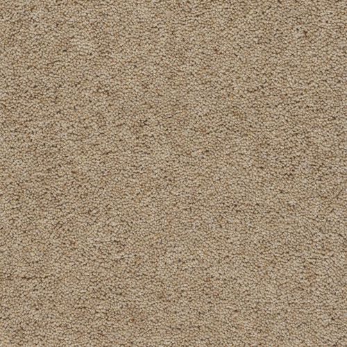 Carpete tufado - DEVONIA HEATHER PLAIN - Axminster carpets - de lã / para uso doméstico / em rolo
