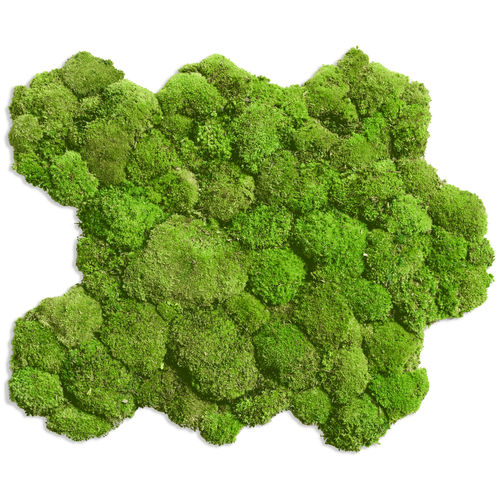 Quadro vivo estabilizado - FLEXGREEN  - FlowerArt GmbH - de musgo estabilizado / natural / para ambiente interno