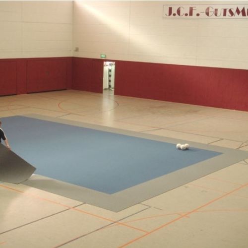 Revestimento de piso em polipropileno - VLIES - Mott Mobile Systeme GmbH &Co. KG - para ambiente interno / para entrada / para pavilhão esportivos