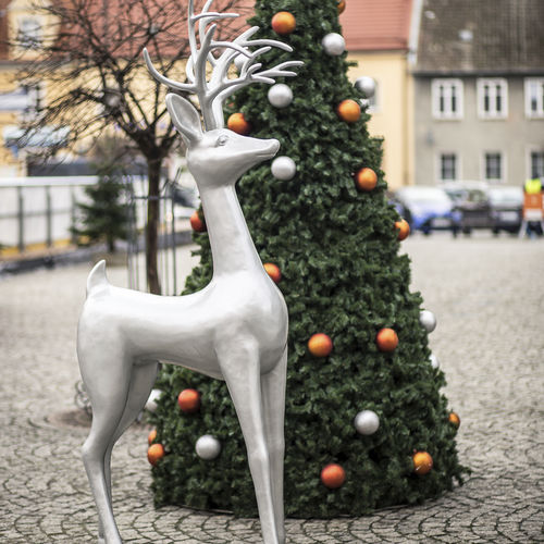 Escultura de Natal - CHRISTMAS REINDEER RUDOLF - Terra Group - de fibra de vidro / para ambiente externo / para jardim