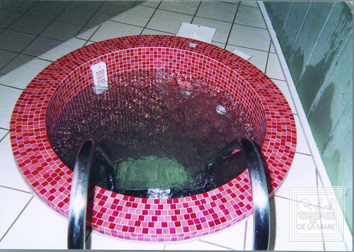 Spa de embutir - PLUNGE - Spa De La Mare - redondo / de 2 lugares / em mosaico