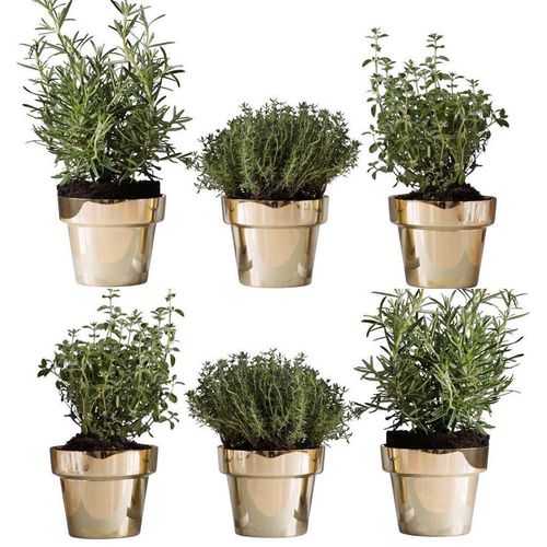 Vaso de jardim em chapa - HERB - SKULTUNA - em latão / redondo / cônico