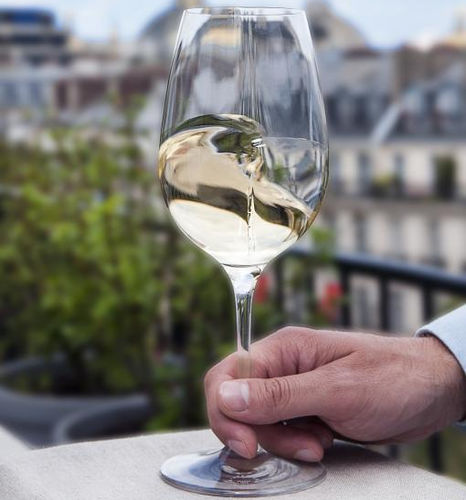 Copo de vinho - EXPLOREUR ŒNOLOGY  - L’Atelier du Vin - de pé / da linha comercial