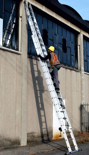 Escada profissional em alumínio - 1959N - Frigerio Carpenterie - de trabalho / telescópica / de encostar