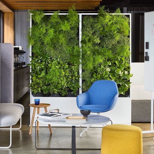 Quadro vivo de plantas naturais - SERENE  - BY NATURE - natural / para ambiente interno / em painel modular