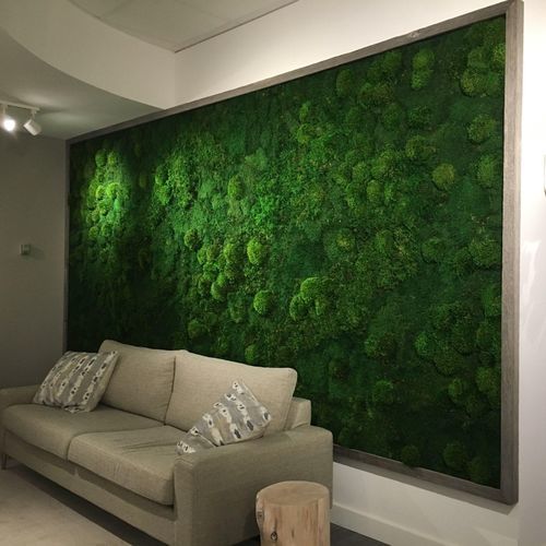 Tapete De Musgo Artificial 100x200cm - Decoração Natural Para Parede E Eventos