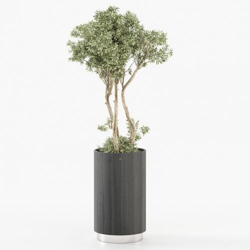 Vaso de jardim em madeira de eucalipto - GOLD - Laskasas - de instalação livre / redondo / da linha residencial
