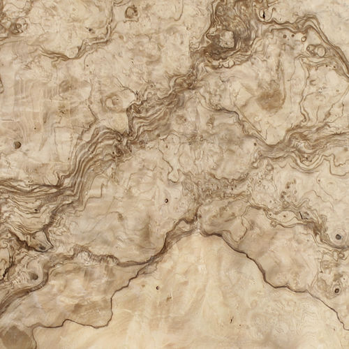 Folheado em madeira - OLIVE ASH BURL - SCHORN&GROH - com certificação FSC