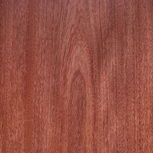 Folheado em madeira - SAPELE - SCHORN&GROH - com certificação FSC