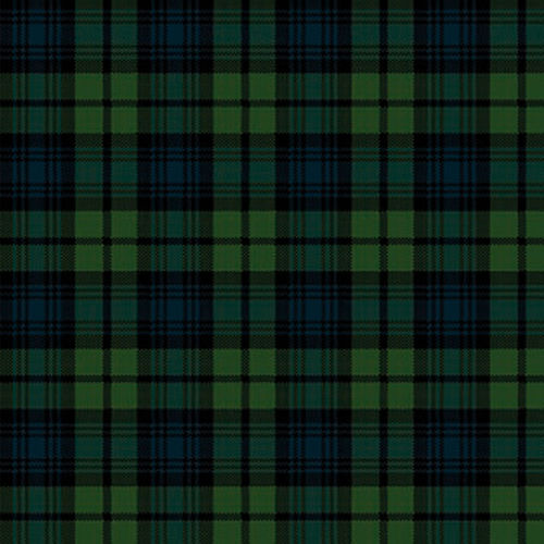 Carpete tecido - BLACK WATCH TARTAN  - STEVENS AND GRAHAM - de lã / em nylon / para o setor terciário