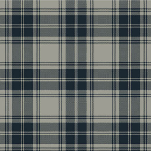 Carpete tecido - DOUGLAS GREY TARTAN  - STEVENS AND GRAHAM - de lã / em nylon / para o setor terciário