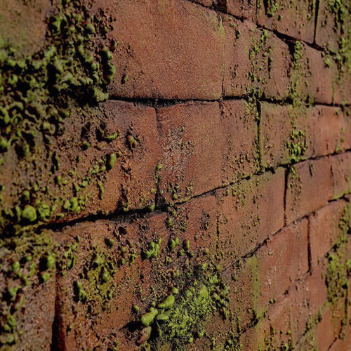 Revestimento para parede interna - MASONRY MOSS - Artstone - para ambiente externo / em concreto / texturizado