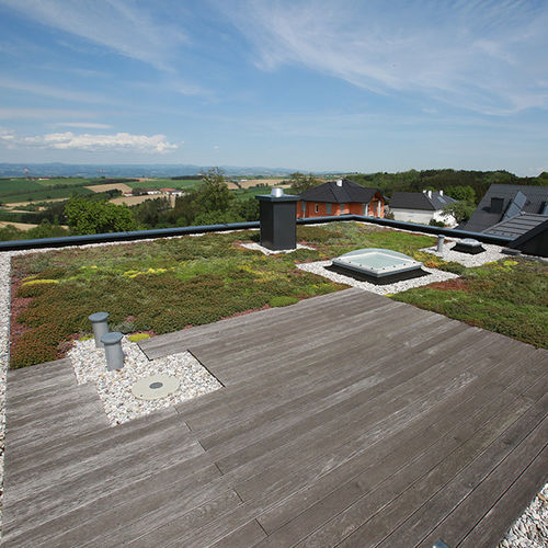 Telhado verde para telhado plano - MONSUN GmbH - extensivo / intensivo / para telhado inclinado