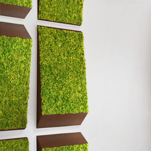 Parede verde estabilizada - PERSPECTIVE LINES - Greenmood - em painel modular / natural / de musgo estabilizado