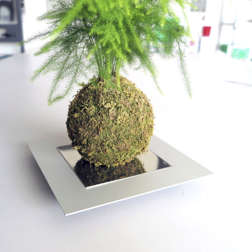 Tutor para plantas em aço - IT8903 - dESIGNoBJECT - decorativo / branco