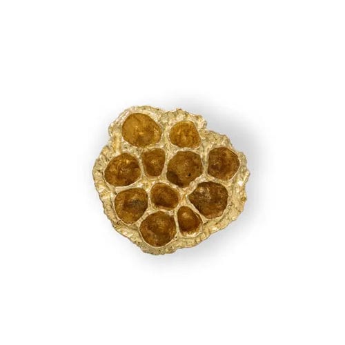 Puxador botão de móvel de design original - COMB EA1022 - PullCast - em latão escovado / em latão polido