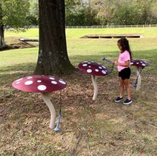 Estrutura lúdica musical - MUSHROOM    - Nature of Early Play - para parque infantil / metálica
