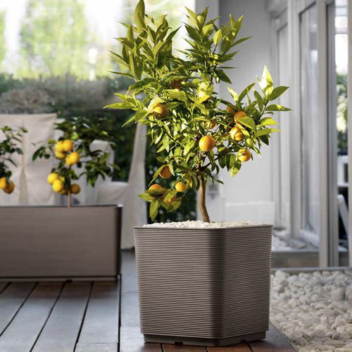 Vaso de jardim em material plástico - PIXEL - TeraPlast - de instalação livre / quadrado