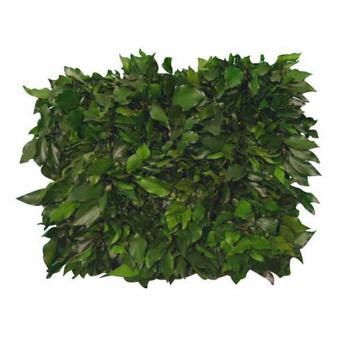 Floreira de resina - FVS-501-16 - green Habitat - retangular / modular / vertical