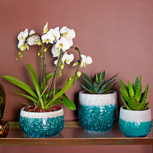 Vaso de jardim em cerâmica - IRIS - Artevasi, S.A - redondo / da linha residencial