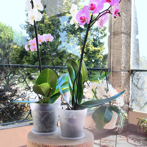 Vaso de jardim em polipropileno - MADAGASCAR  - Artevasi, S.A - redondo / da linha residencial