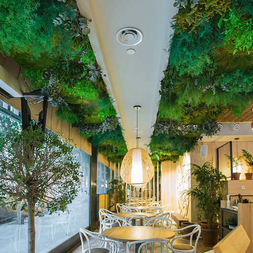 Forro em painéis - MOSS&amp;PLANTS MID FINISH - Greenarea - verde / decorativo