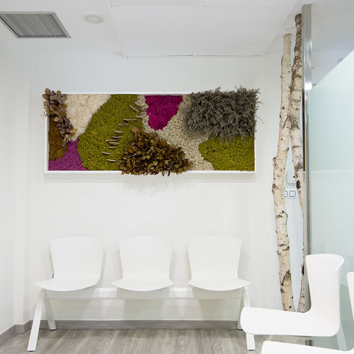 Quadro vivo estabilizado - CUSTOM+PLANTS - Greenarea - de musgo estabilizado / de folhagem densa / em líquen