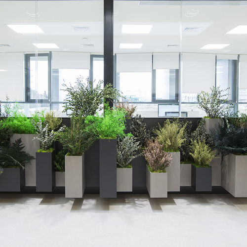 Planta ornamental estabilizada - MOSS&amp;PLANTS PLANTERS - Greenarea - pequena / de tamanho médio / grande