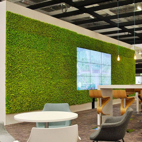 Parede verde natural - OF WALL LICHEN - BM PIANTE STABILIZZATE - de musgo estabilizado / para ambiente interno / com estrutura modular