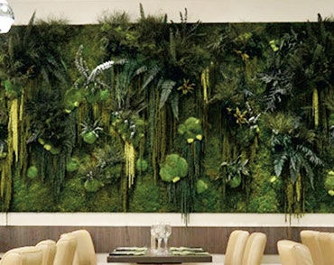 Parede verde de folhagem densa - PLANT STABILIZED - BM PIANTE STABILIZZATE - de musgo estabilizado / para ambiente interno / com estrutura modular