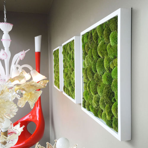 Quadro vivo estabilizado - PAINTINGS OF POLEMOSS - BM PIANTE STABILIZZATE - de musgo estabilizado / para ambiente interno / em painel modular