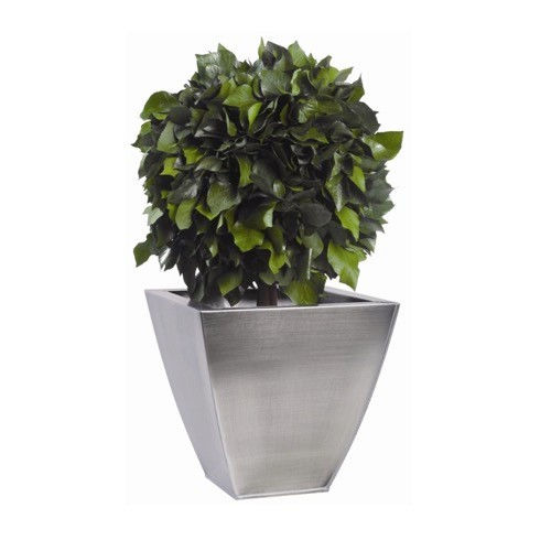 Planta ornamental estabilizada - BOULE DE LIERRE VERT - Végétal Indoor - redonda / de tamanho médio / para ambiente interno