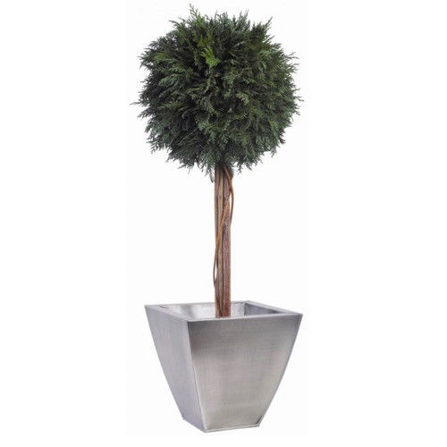 Planta ornamental estabilizada - TOPIAIRE BOULE DE THUYA - Végétal Indoor - redonda / grande / para ambiente interno